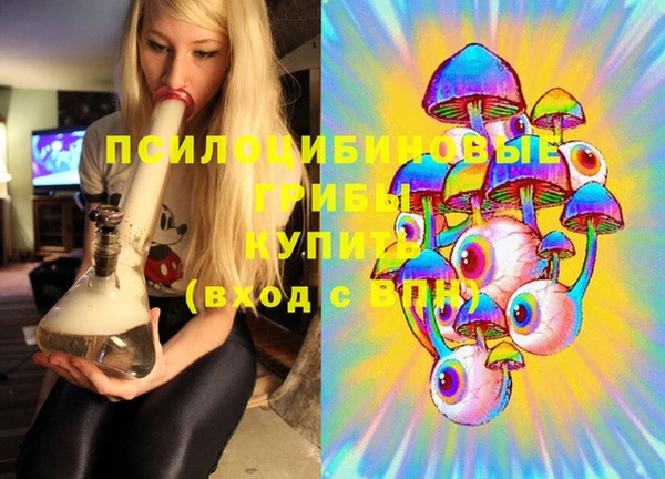 гашик Горнозаводск