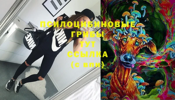 герыч Вяземский