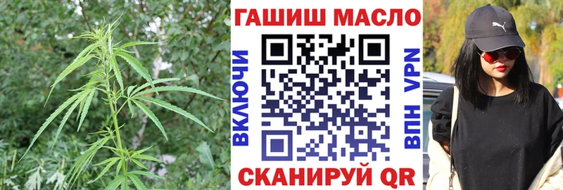 Купить где  Белоярский  ТГК вейп 