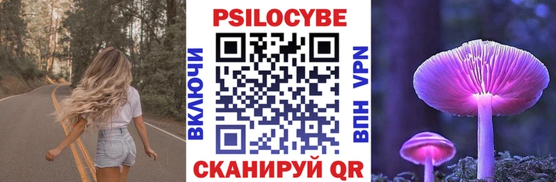 Псилоцибиновые грибы Psilocybe  Купить закладки  Белоярский 